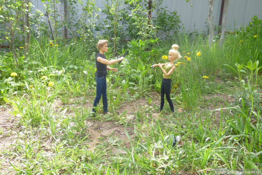 Истории Земли. Один майский день (фото 4)