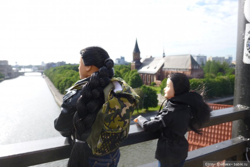 Истории Земли. Подарок со смыслом (фото 8)