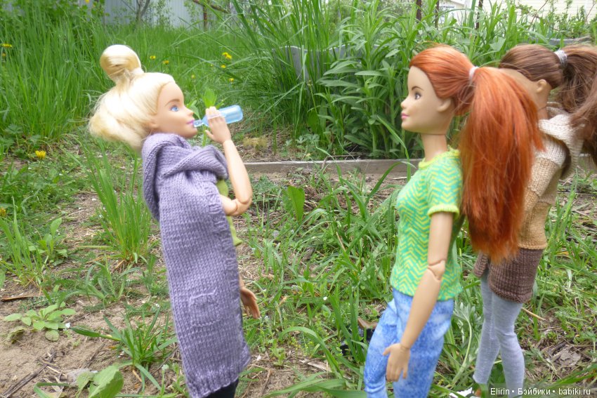 Истории Земли. Один майский день