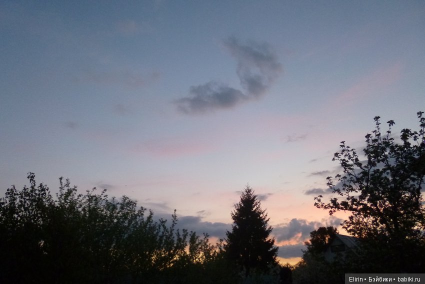 Истории Земли. Один майский день