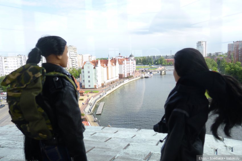 Истории Земли. Подарок со смыслом