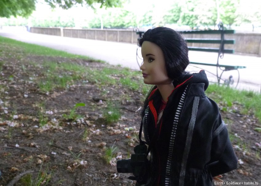 Истории Земли. Подарок со смыслом