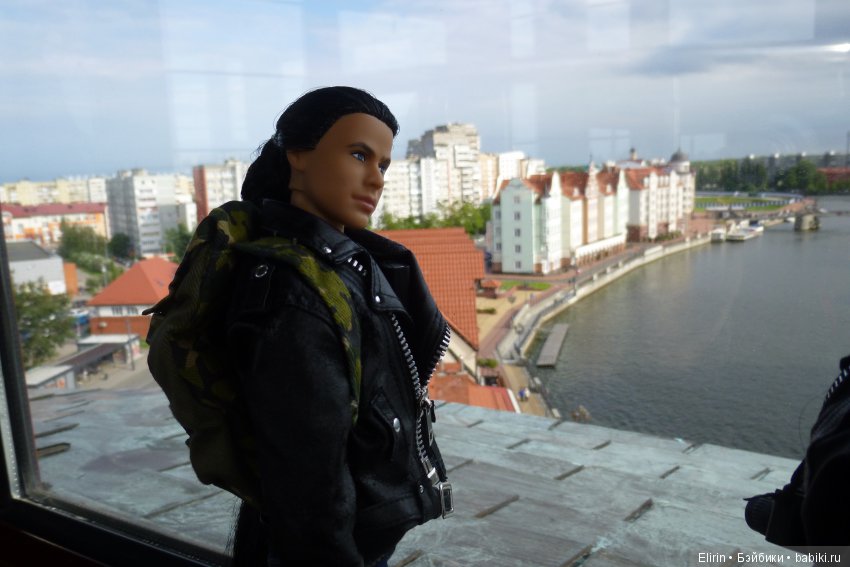 Истории Земли. Подарок со смыслом