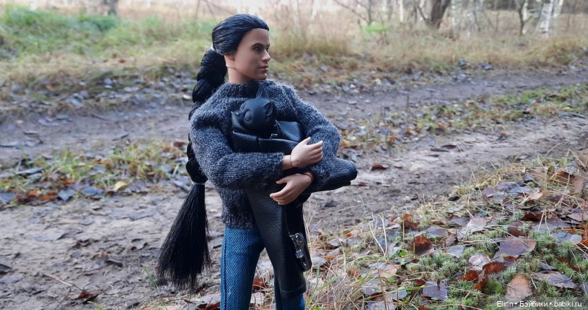 Истории Земли. По следам Тени