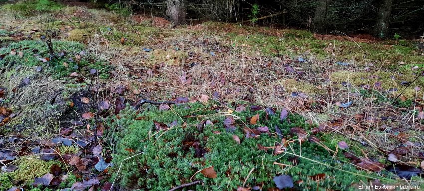 Истории Земли. По следам Тени