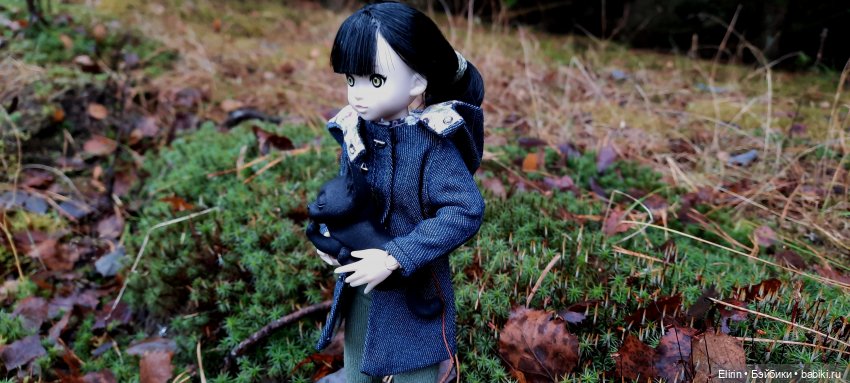 Истории Земли. По следам Тени