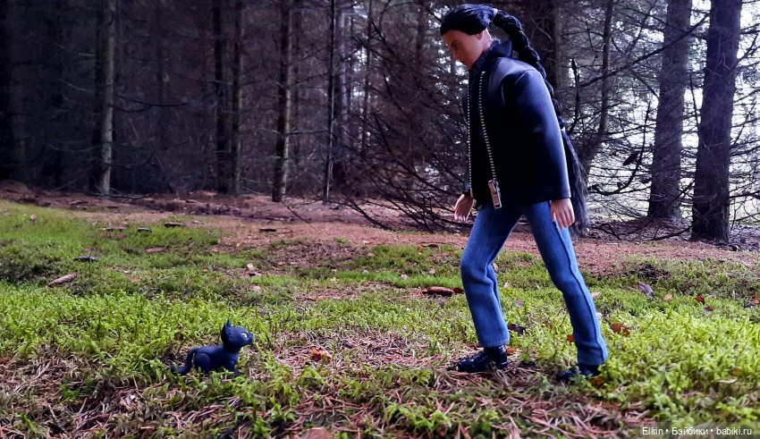 Истории Земли. По следам Тени (фото 4)