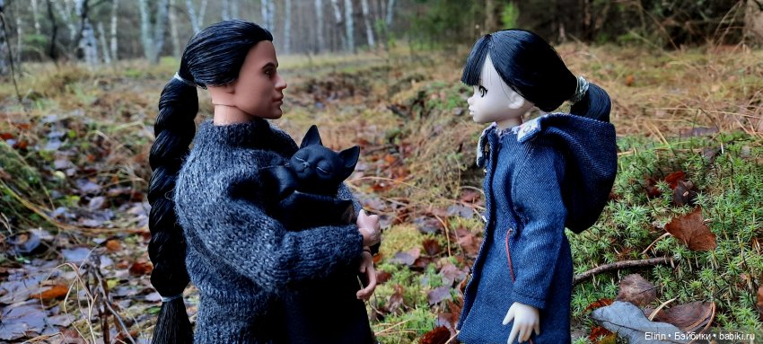 Истории Земли. По следам Тени