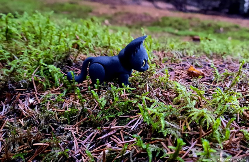 Истории Земли. По следам Тени (фото 3)