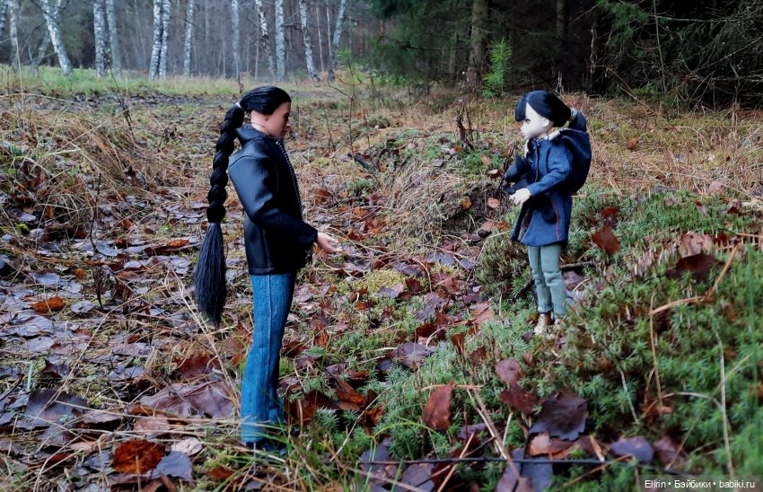 Истории Земли. По следам Тени (фото 10)