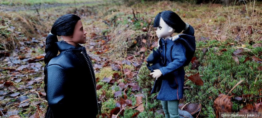 Истории Земли. По следам Тени