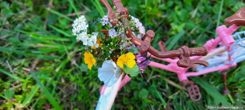 Записки авантюристок. "Этим летом я обязательно..." Часть 1