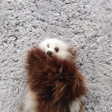 Хорошенький пушистик для ваших малышек