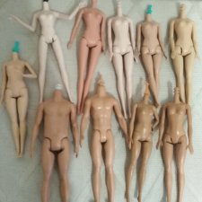 Лот тел для гибритизации