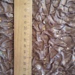 Шикарная ткань для кукольного рукоделия