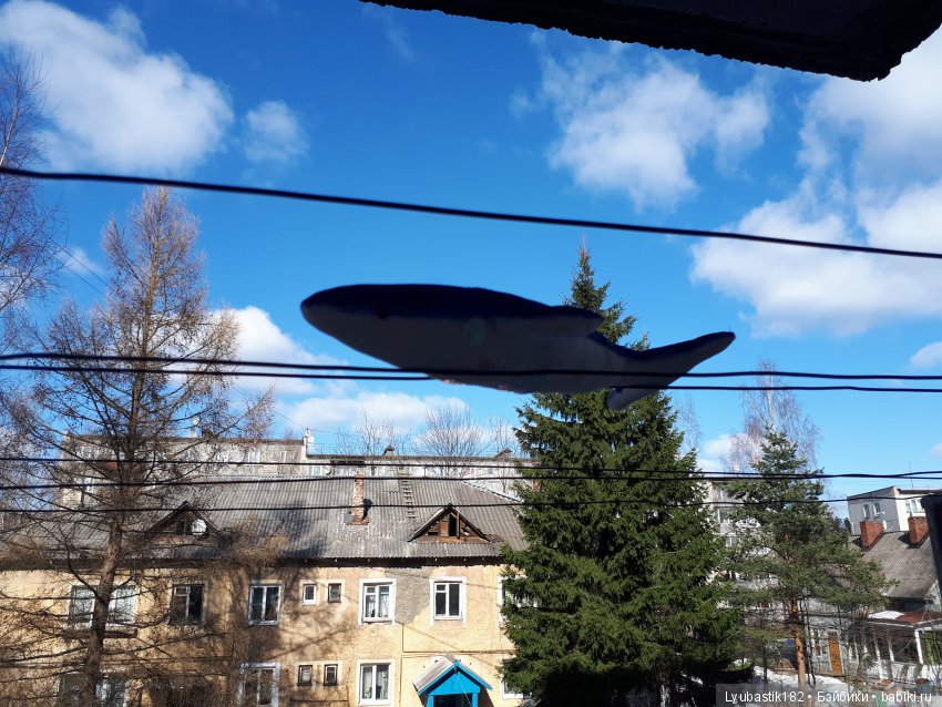 На небе одни разговоры что о море | Бэйбики На небе одни разговоры что о море