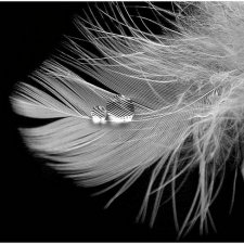 Жизнь в городе N. Вдох-Выдох