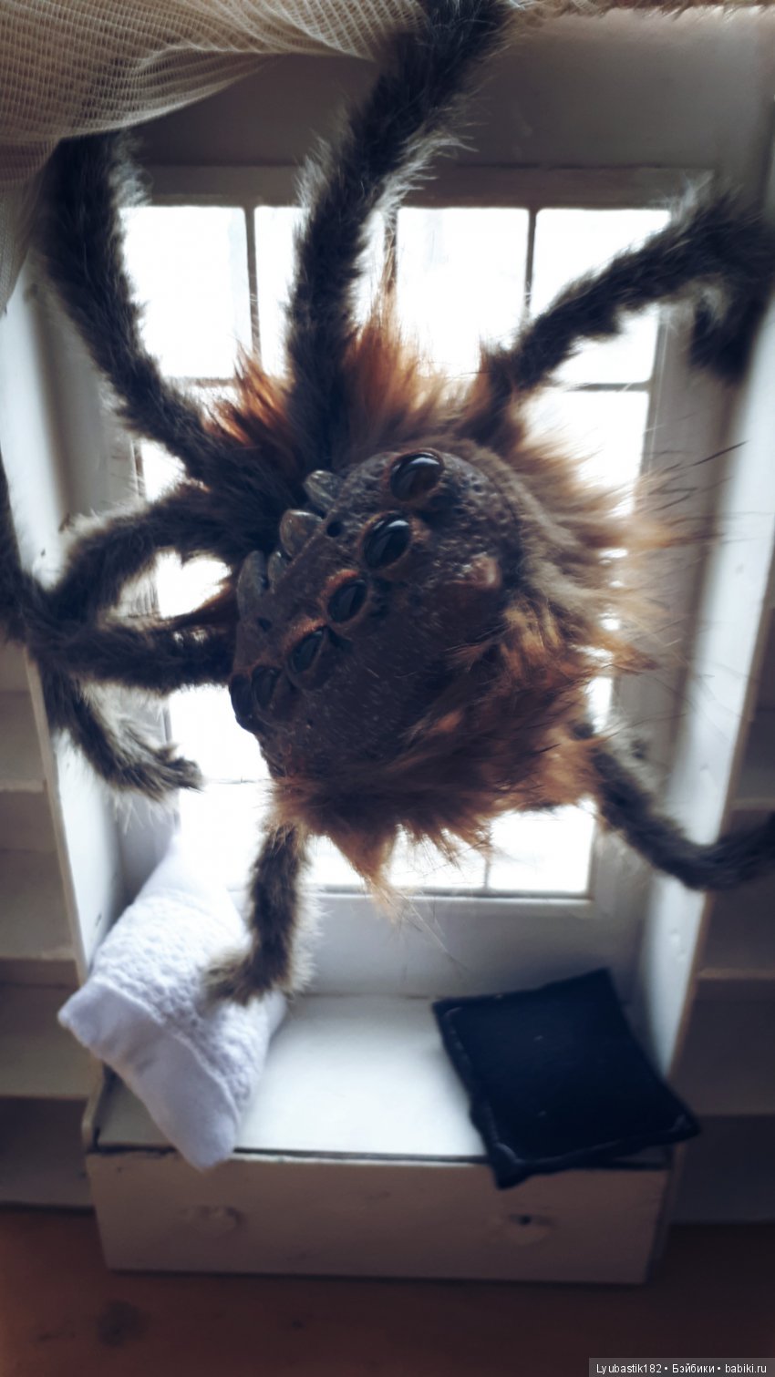 Где обитают Музы. Гостья — Проба пера: рассказы