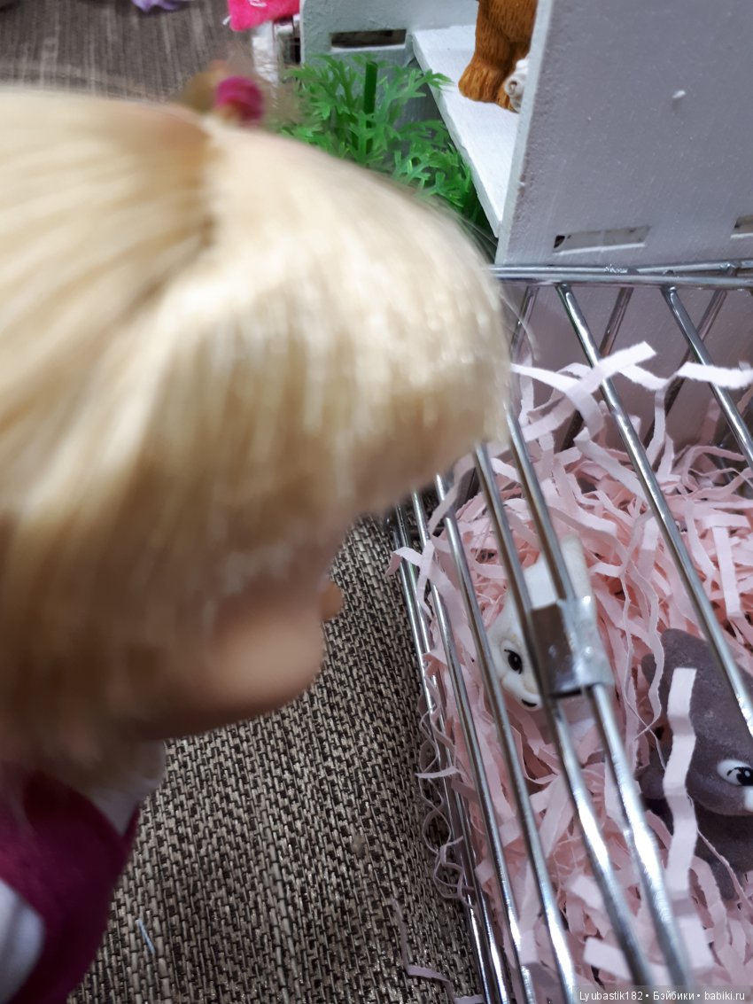 Где обитают Музы. Гостья — Проба пера: рассказы