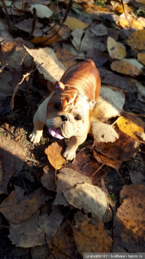 Мой маленький юбилей. Два года