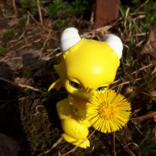 Солныш на прогулке