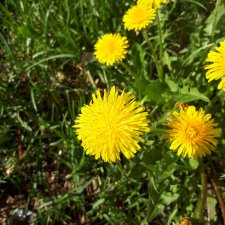 В благодарность