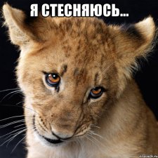 Не надо стесняться