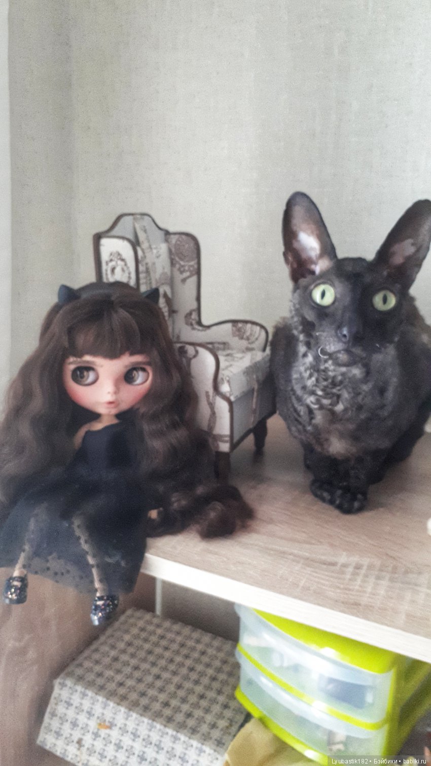 Любаша и одна кошачья морда (фото 3)