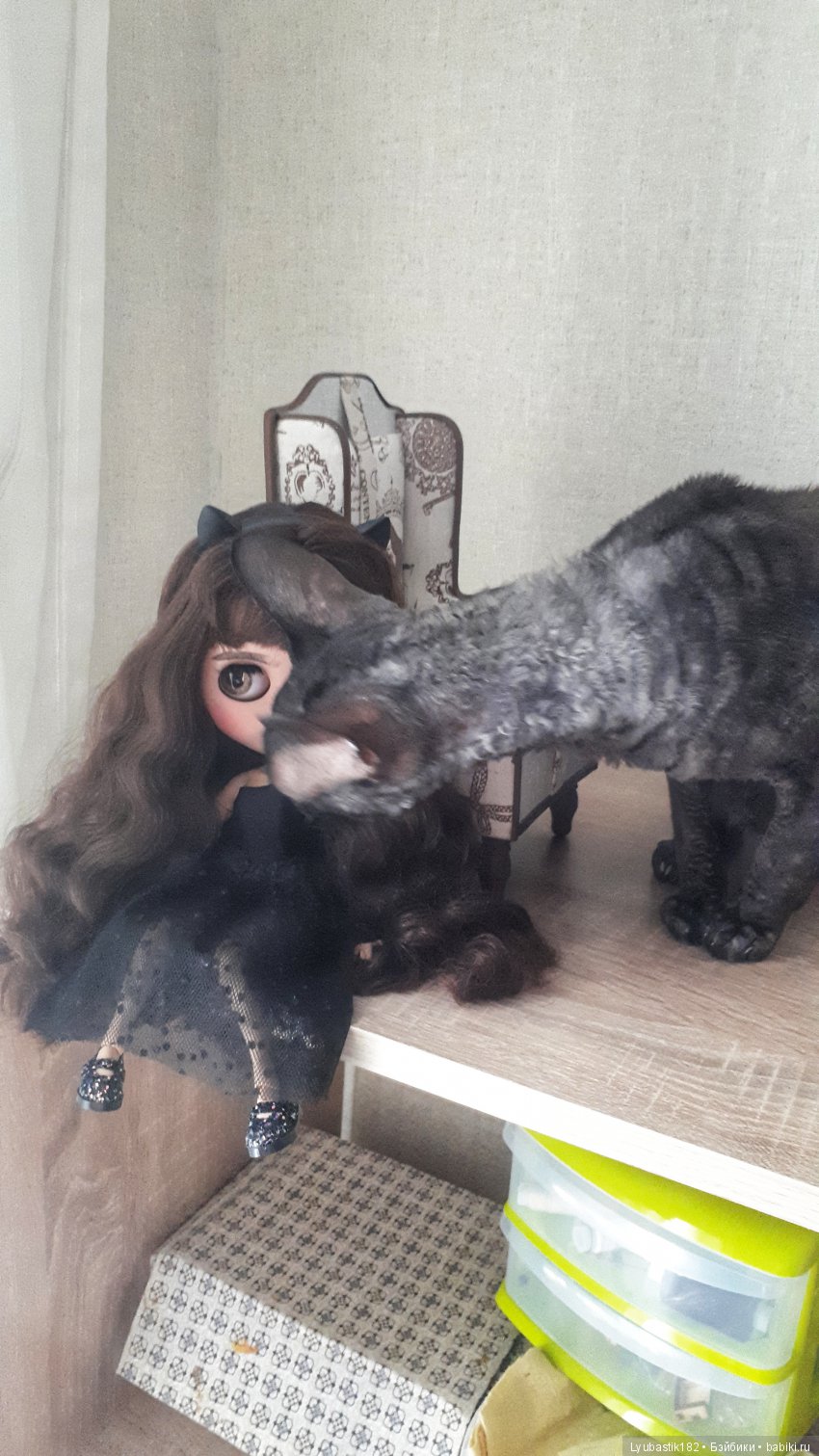 Любаша и одна кошачья морда (фото 2)