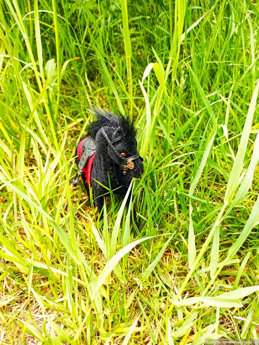 Когда Муза возвращается — Гибриды шарнирных кукол (не БЖД): подбор тела (фото 2)