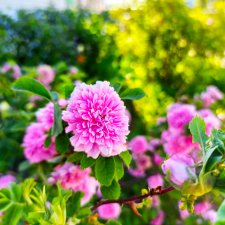 Возьми нас с собой