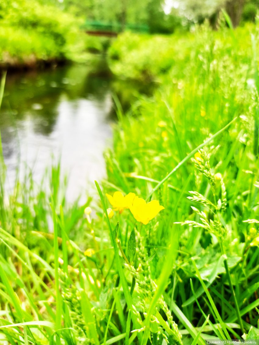 У реки — Болталка и разговоры обо всем: жизнь