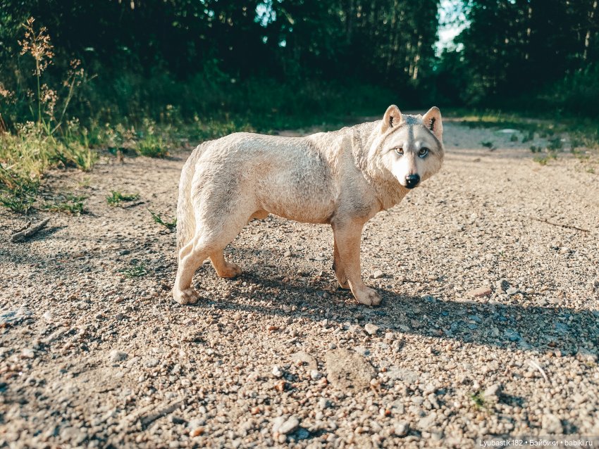 Не замечая | Бэйбики Не замечая — Коллекционные экшн (фото 4)