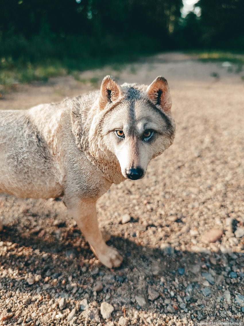 Не замечая | Бэйбики Не замечая — Коллекционные экшн (фото 3)