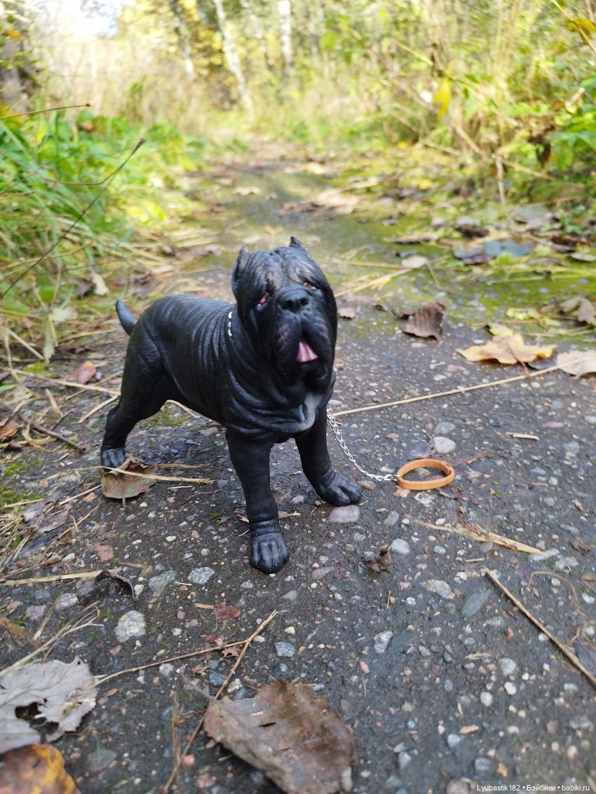 Когда гуляешь с собакой — Коллекционные экшн
