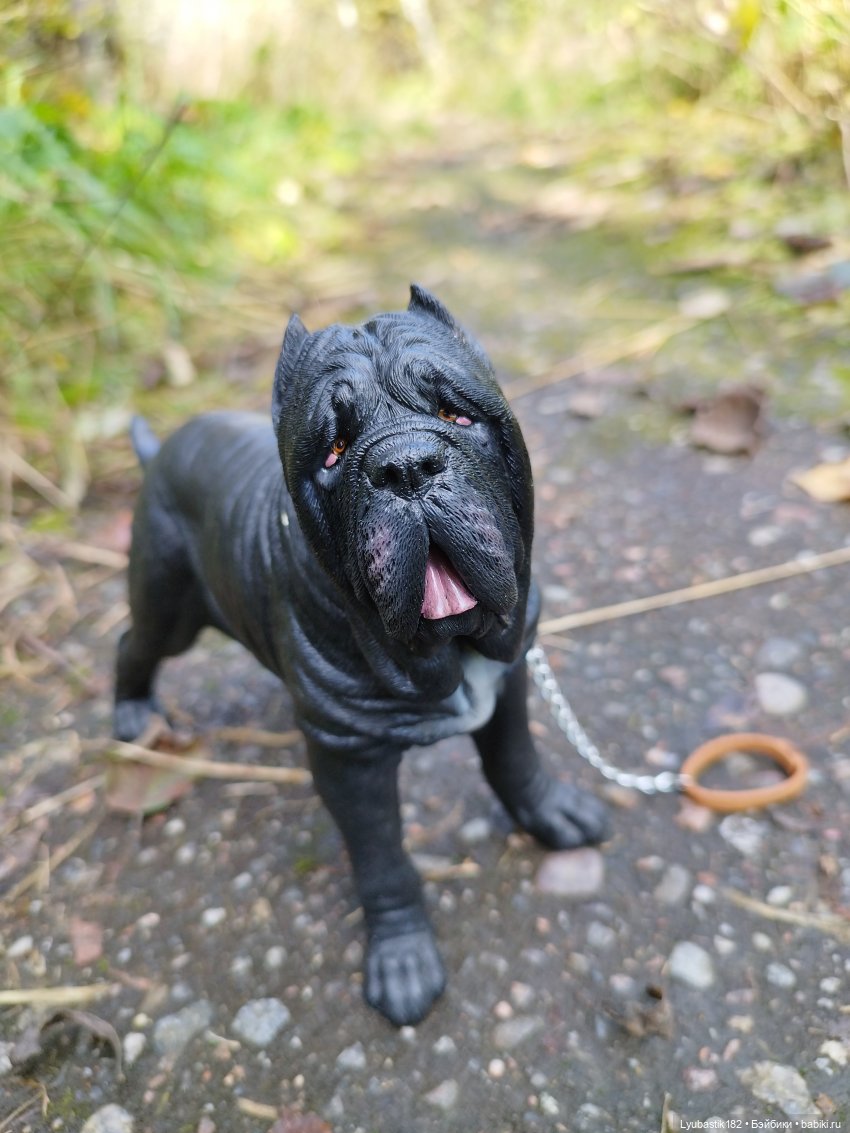 Когда гуляешь с собакой — Коллекционные экшн (фото 3)