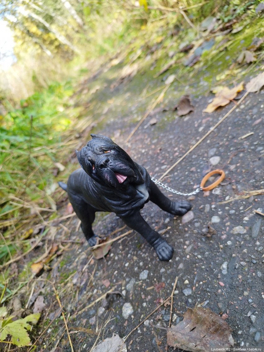 Когда гуляешь с собакой — Коллекционные экшн (фото 2)