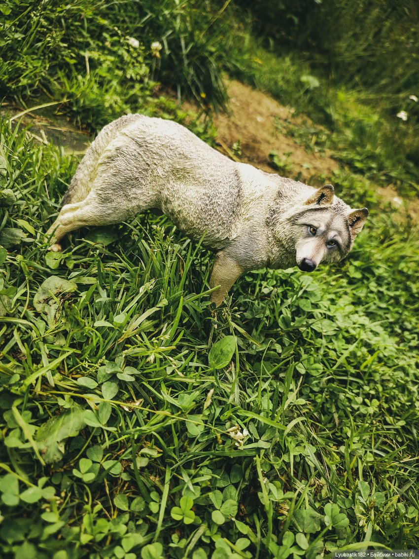 Итоги года или до свидания, 2022 | Бэйбики Итоги года или до свидания, 2022