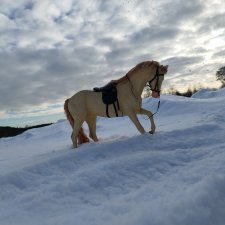 Зима-холода