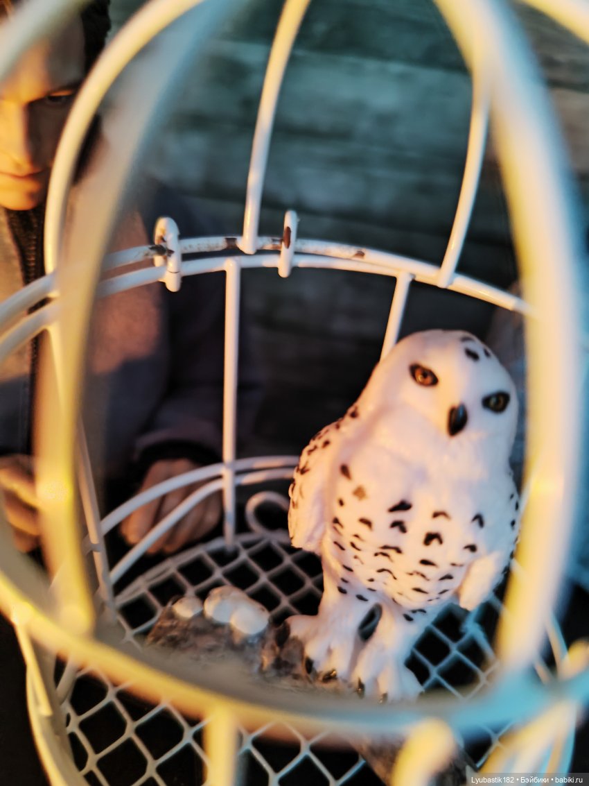 Прочесть нельзя уничтожить или если ты не знаешь ничего о баобабах, о чем с тобой разговаривать