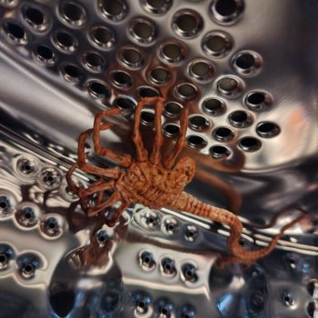 Денискины забавы