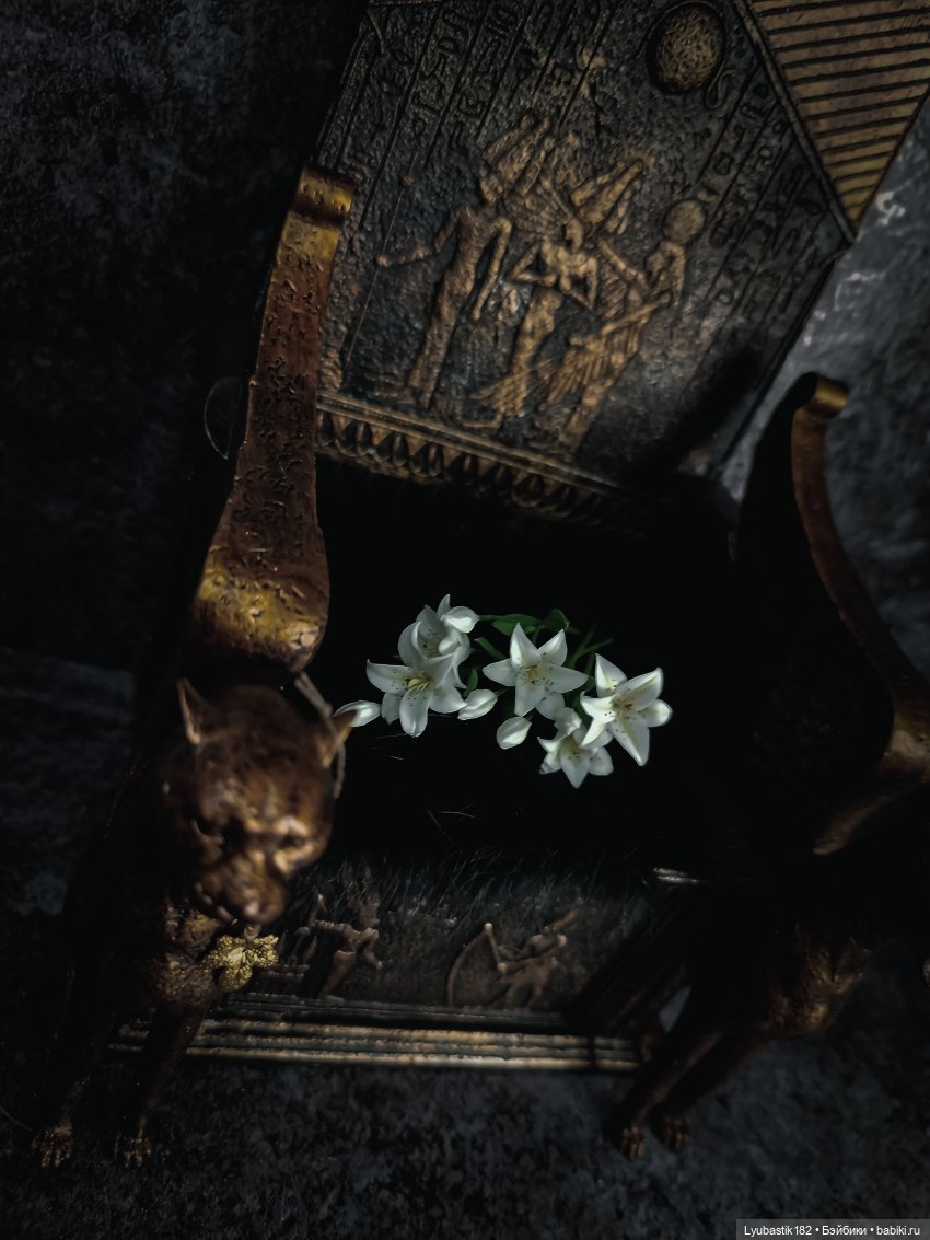 Дотянуться до солнца. Глава 16 (фото 7)