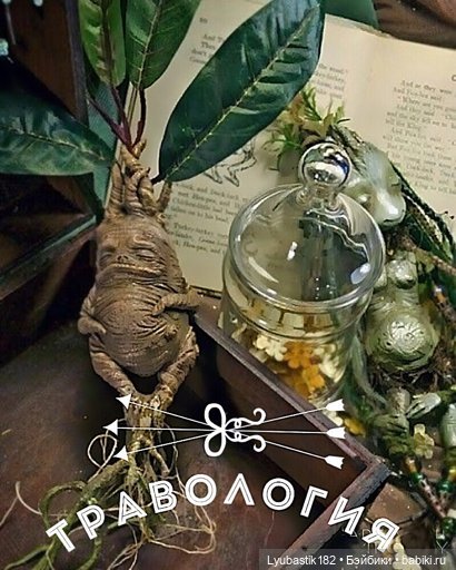 Урок травологии — Кукольные флешмобы: Эстафеты (фото 7)