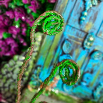 Просто рисуй дверь