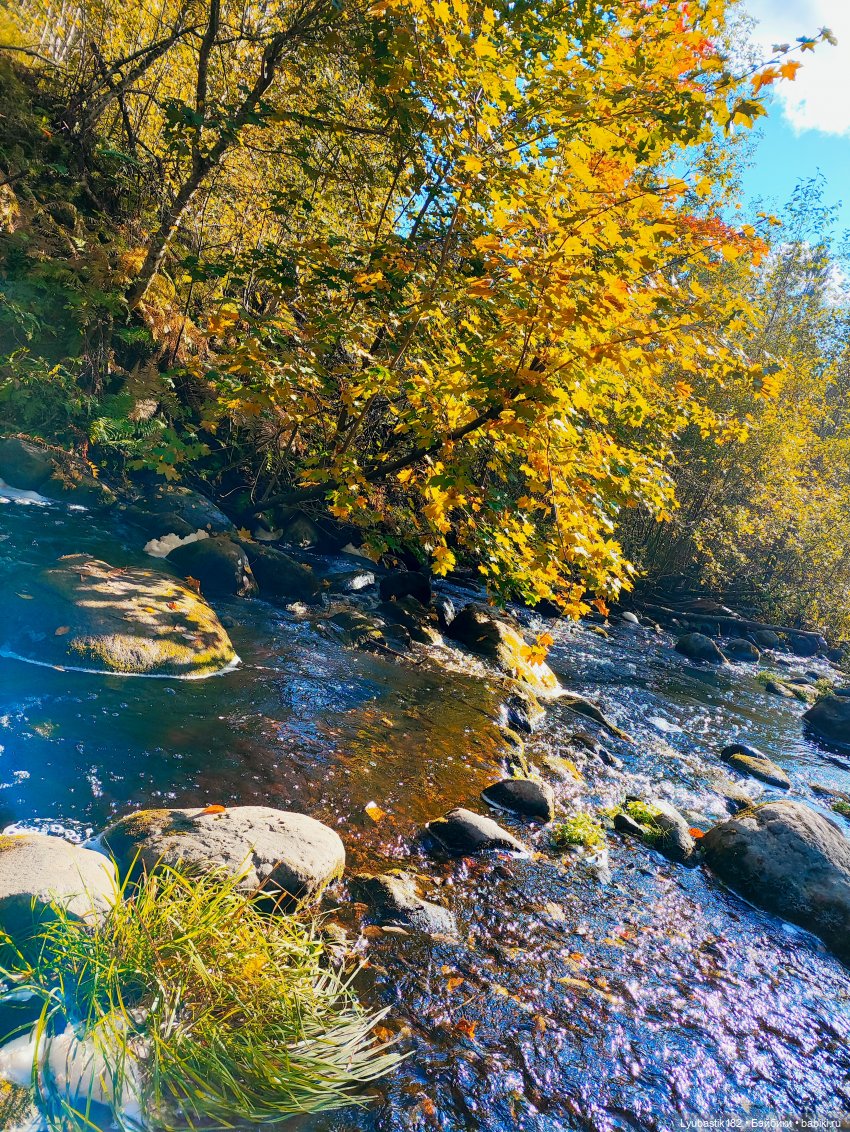 Осенью — Коллекционные экшн