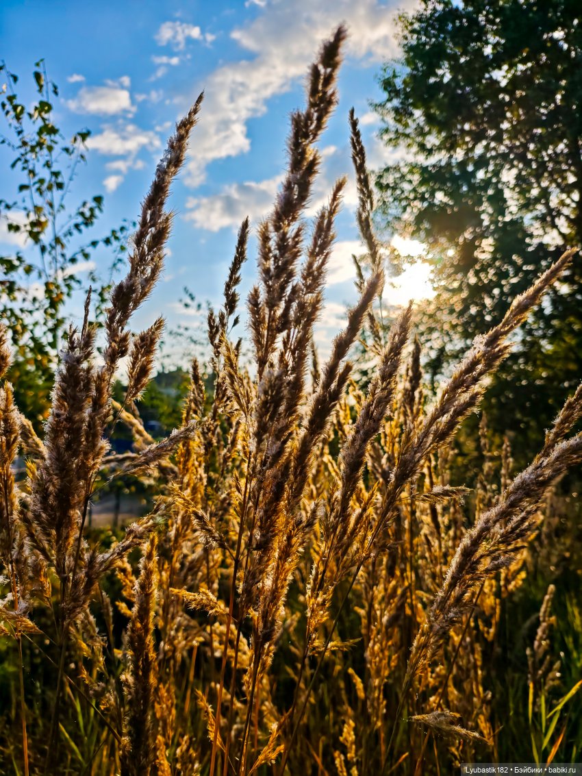 Злые вороны — Коллекционные экшн (фото 4)