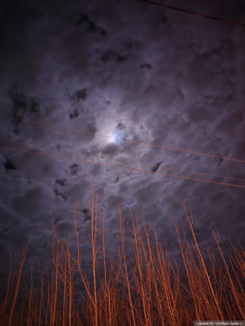 Злые вороны — Коллекционные экшн (фото 5)