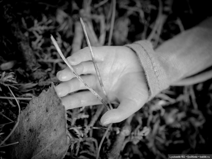 Злые вороны — Коллекционные экшн (фото 7)