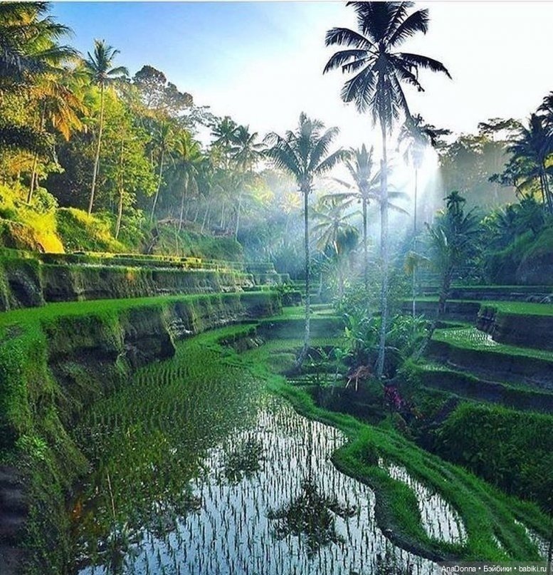 Кинофестиваль DollCi-2020. Преноминация (фото 3)