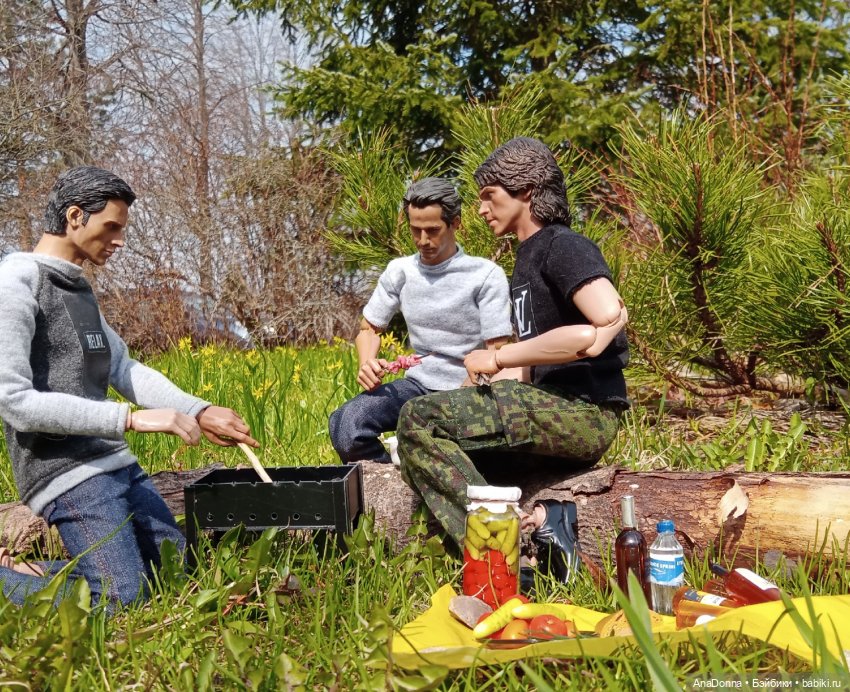 Мы поедем на природу — Кукольные фотоистории и сериалы: комиксы